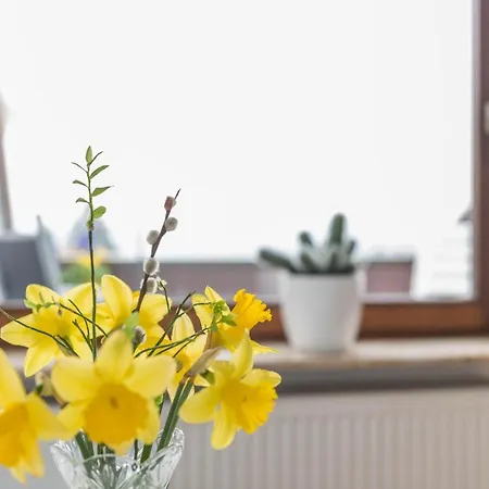 Maria Feucht Apartment *